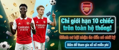 Arsenal banner